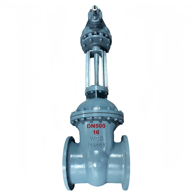 Carbon Steel National Standard Flans Gate Valve